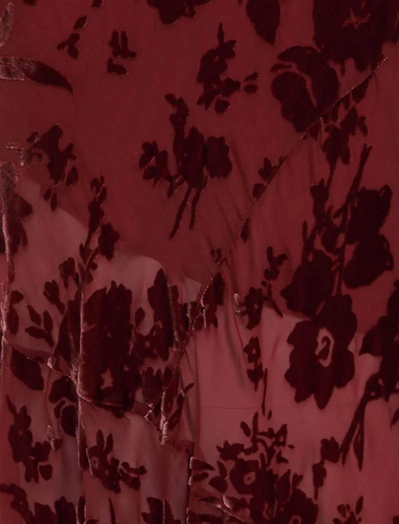 Santeria Maxi Dress | Crimson Devore - Image 5